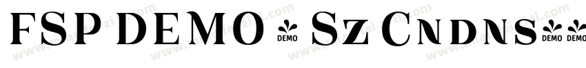 FSP DEMO - Sz Cndns字体转换